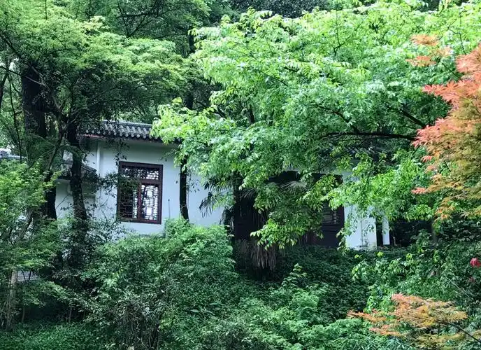 宜居地点推荐